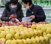 전년比 16% ‘폭등’ 사과·배 4만 톤 푼다…“가격 안정 주력”