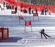 South Korea Winter Youth Olympics