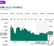 테슬라 0.34% 상승했지만 주간 기준으로는 14% 폭락