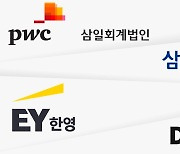 AI·XBRL·부동산 PF… 실적 둔화에 새 먹거리 선점 경쟁하는 회계법인들