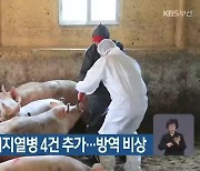 부산 아프리카돼지열병 4건 추가…방역 비상