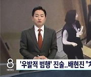 15세 중학생 배현진 공격, 우발행동인가 계획범행인가