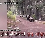 회색곰 떴다, 관광객들 20분 쫓아와…배정남 실제 상황에 깜짝(더와일드)[결정적장면]