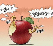 [김회룡의 시사 TOON]