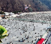 최전방 화천산천어축제 인파