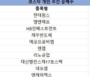 코스닥 주간 개인 순매수 1위 '현대힘스'