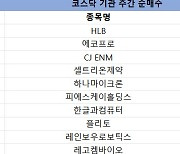 코스닥 주간 기관 순매수 1위 'HLB'