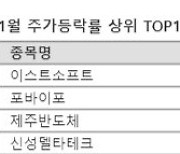 새해 벌써 220% 급등...AI 광풍에 테마주 '활활'