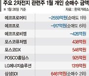 '반짝 반등' 에코프로 패밀리… "추가 하락" vs "바닥 탈출"