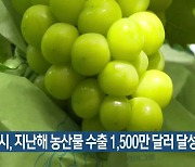 김천시, 지난해 농산물 수출 1,500만 달러 달성