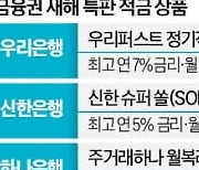 年 7%대 고금리 적금…새해 특판상품 쏟아진다