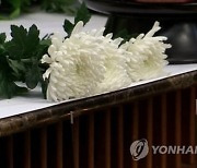 1인 가구 증가하는데…79% '고독사 위험군'