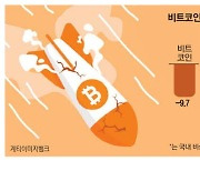 ETF 약발 떨어진 비트코인…관련株 '눈물'