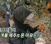 [연합뉴스TV 스페셜] 312회 : 베트남인들이 한겨울 제주로 온 이유는?