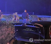 Circus Animals Rescued Fire