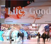 대기업 성과급 희비…LG 가전 기본급 665%, 삼성 반도체 '0'