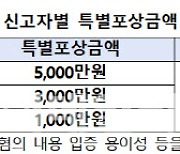 조직형 보험사기 신고하면 포상금 최대 5000만원