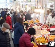 '금사과'·'금배'·'금귤'…제주, 올해 설 차례비용 역대 최고