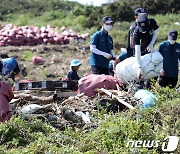 [서귀포시 소식] 바다환경지킴이 115명 채용…하루 7시간 근무, 월 209만원