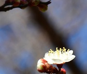 내일 오후 제주·전남 최대 10㎜ 비…수도권·충청 미세먼지 '나쁨'(종합)