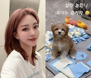 ‘10살 연하♥’ 한예슬 “육아는 즐거워” 귀여운 반려견 자랑