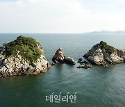 환경부, 경남 거제 인근 섬에서 덩굴옻나무 집단군락지 확인