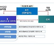 28억 빼돌린 대부업체 대표…금감원, 업권 전수 점검 실시