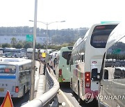 “삼다도, 돌·바람·여자 아니네”…제주 인구보다 더 많다는 이것