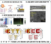 아주대 연구팀, 인간 생체 시각 모사 광 신경 소자 개발 성공