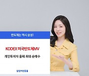 KODEX 美반도체MV, 국내 반도체 ETF 중 최대 개인순매수