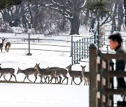 제주, 구름 많고 강풍…낮 최고 9~11도