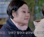 이혜정, '이혼'한 남편 고민환에 "갈롱스러운 의사" 일침 [Oh!쎈 리뷰]