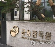 금감원, 가상자산 불공정거래 신고 받는다