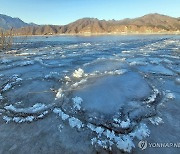 대전·세종·충남 대체로 맑음…일교차 커