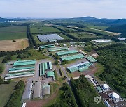 환경친화축산농장 제동목장 축사 항공사진