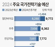 [그래픽] 2024 주요 국가전략기술 예산