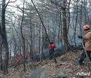 부산 사하구 천마산서 불…초진 완료 잔불 정리 중