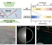 KAIST, 알츠하이머 발병 과정 실시간 관찰 기술 개발