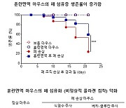 울산의대, 베타-글루칸 주사로 폐섬유증 완화 사실 규명