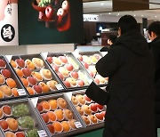 서울시, 설 앞두고 쓰레기 늘리는 ‘선물 과대포장’ 집중 점검