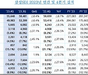 "배터리 설비투자 계획대로"... 삼성 SDI, 연매출 22조 달성