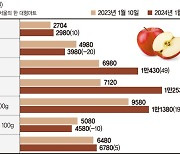 올 차례상엔 사과를 빼야하나… 역대급 '설 물가'에 한숨 [설 앞두고 치솟는 과일값]