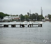 함부로 버린 사체 때문에…항구에 '상어' 출몰