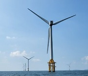 Government rejects BlackRock-backed offshore wind project