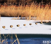 [포토친구] 겨울 수목원 소경