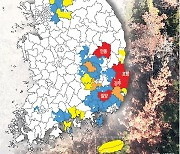 정부 방심이 화 키웠다…소나무재선충 반복 확산, 왜?