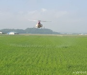 친환경농산물 인증기준 개편…농민도·소비자도 웃었다