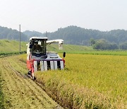 영주시, 전략작물 직불제 품목확대·단가인상…신청 접수