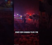 도로서 불난 서커스단 차량…동물 구조 작전(영상)