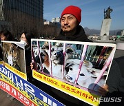 동물보호연합, 개 도살 중단 및 보호조치 촉구